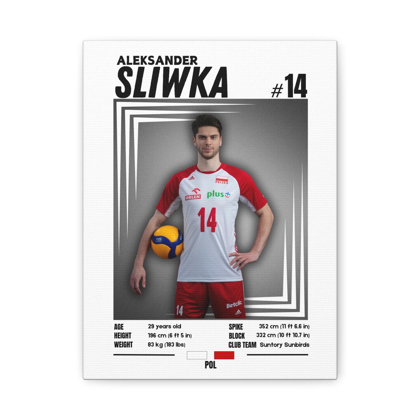 Aleksander Śliwka - Wooden Canvas Poster