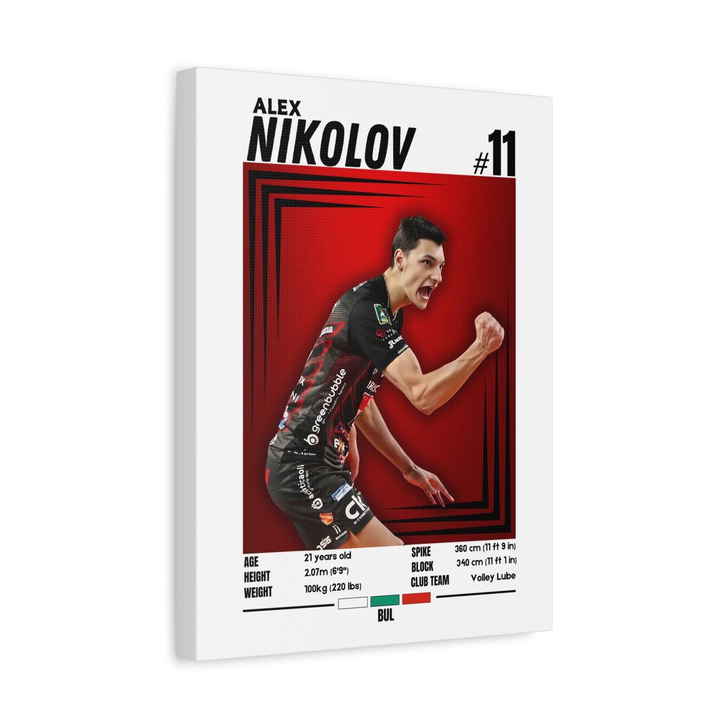 Alex Nikolov - Wooden Canvas Poster