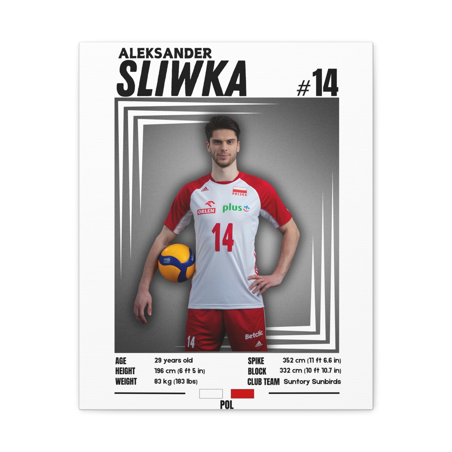 Aleksander Śliwka - Wooden Canvas Poster