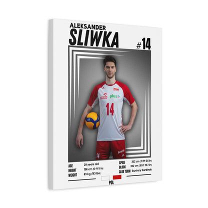 Aleksander Śliwka - Wooden Canvas Poster