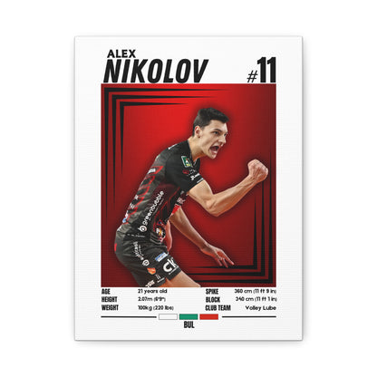 Alex Nikolov - Wooden Canvas Poster