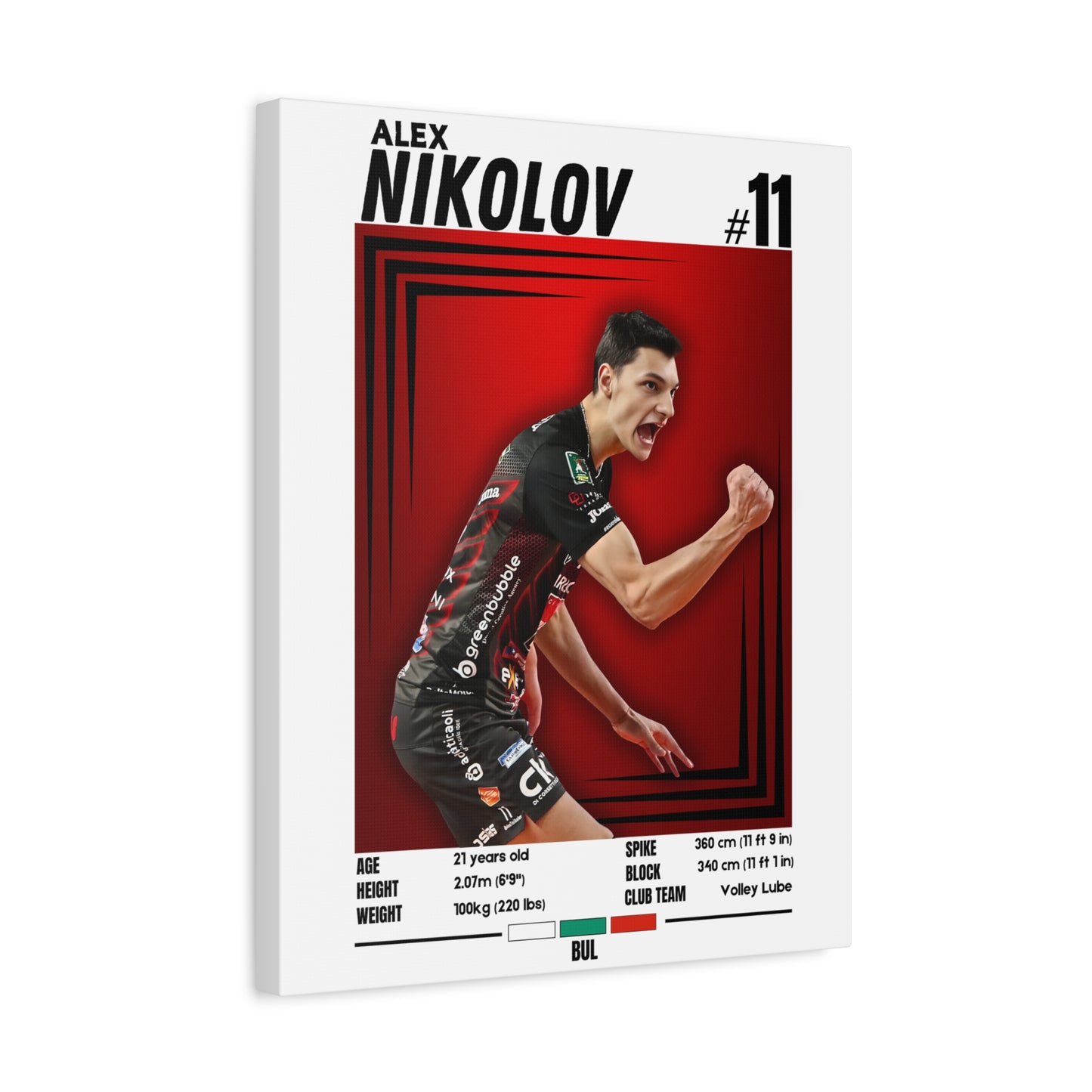 Alex Nikolov - Wooden Canvas Poster